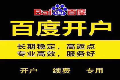 百度推广实战案例：提升网站流量技巧